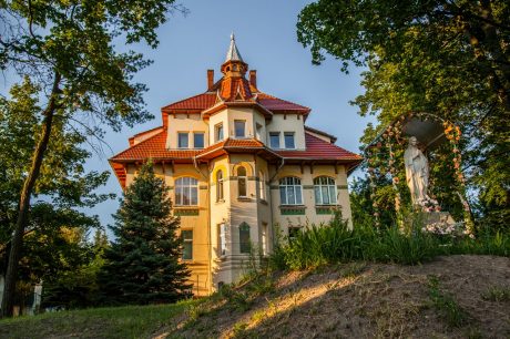 Ceramic tiles Tondach