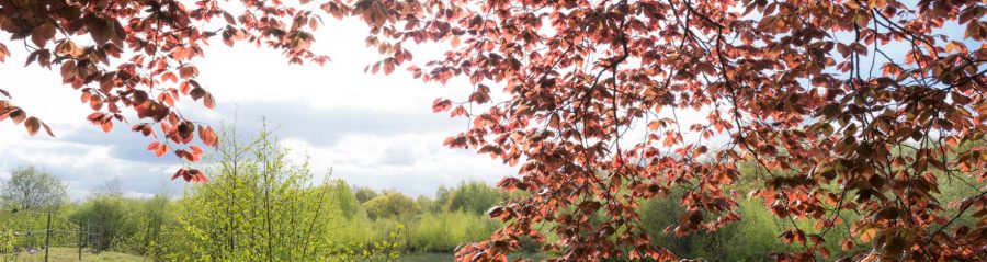 Slideshow together sustainable 3