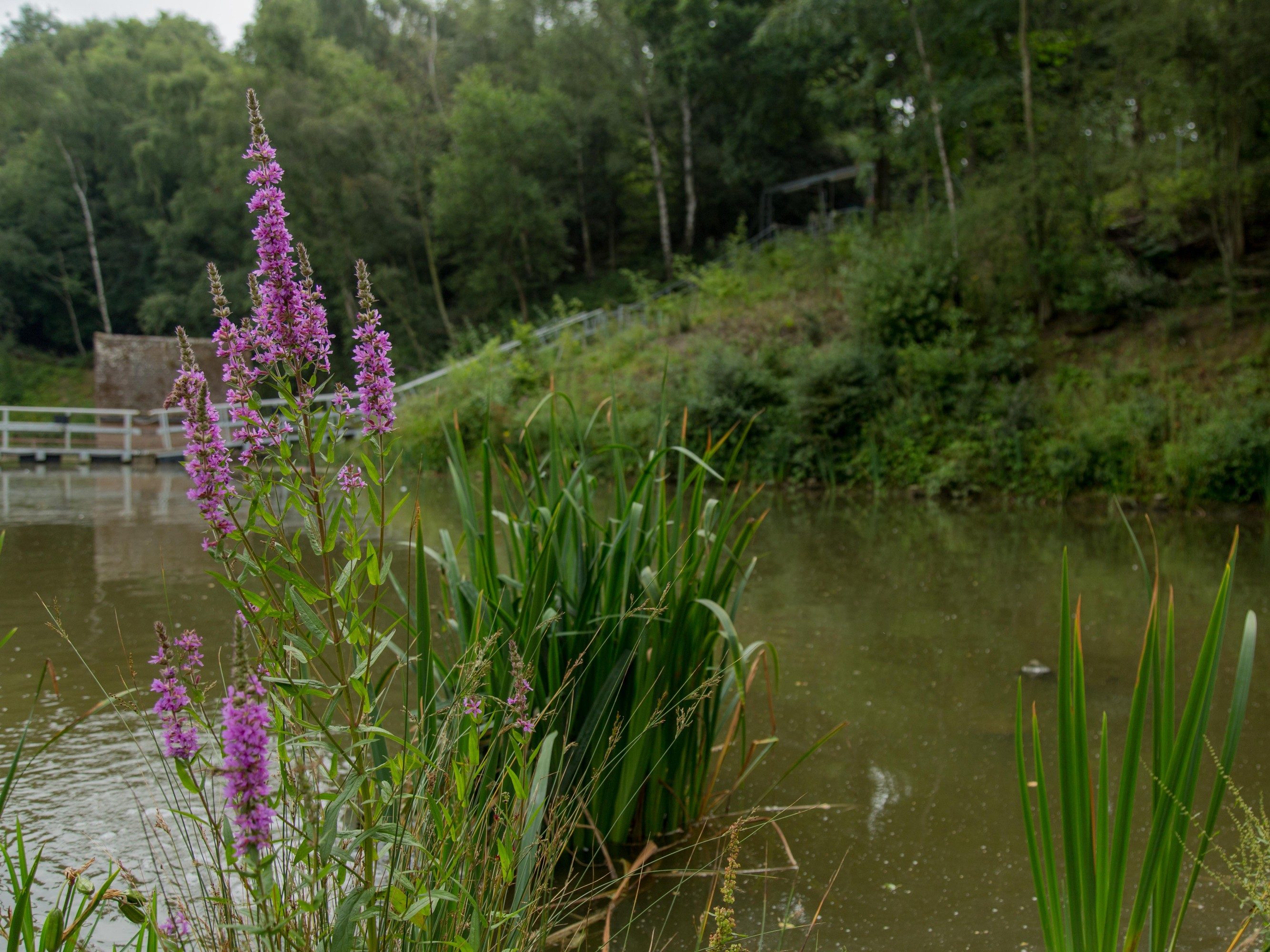 Innovation in production for Sustainability.